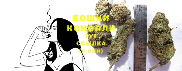 твердый Верхний Тагил