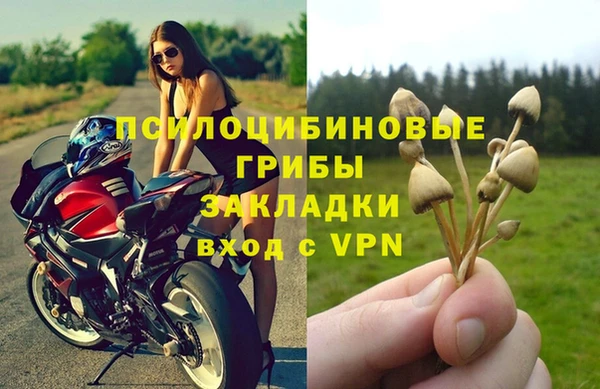 PSILOCYBIN Верхнеуральск