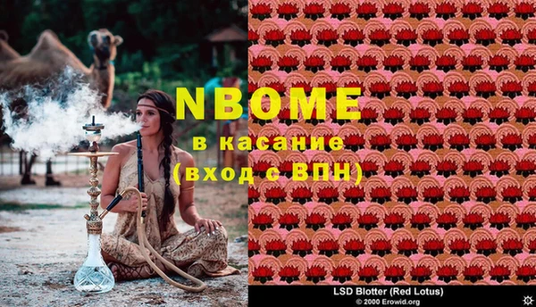твердый Верхний Тагил