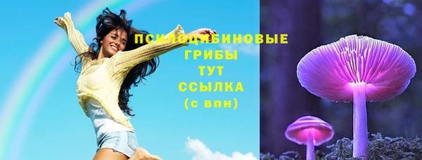 твердый Верхний Тагил