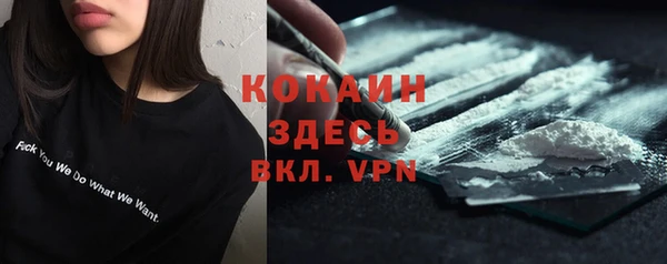 твердый Верхний Тагил