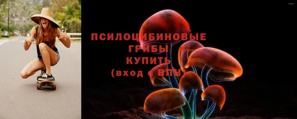 PSILOCYBIN Верхнеуральск