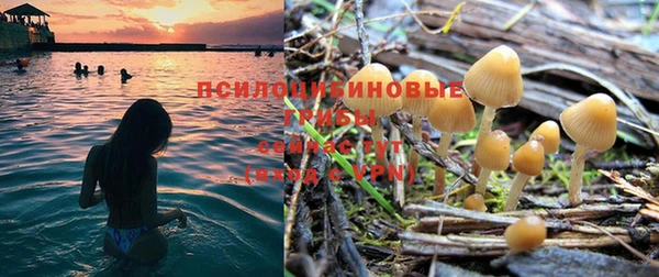 PSILOCYBIN Верхнеуральск