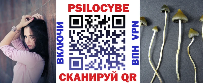Галлюциногенные грибы Psilocybe  Городище 